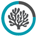 76% of the world’s coral species