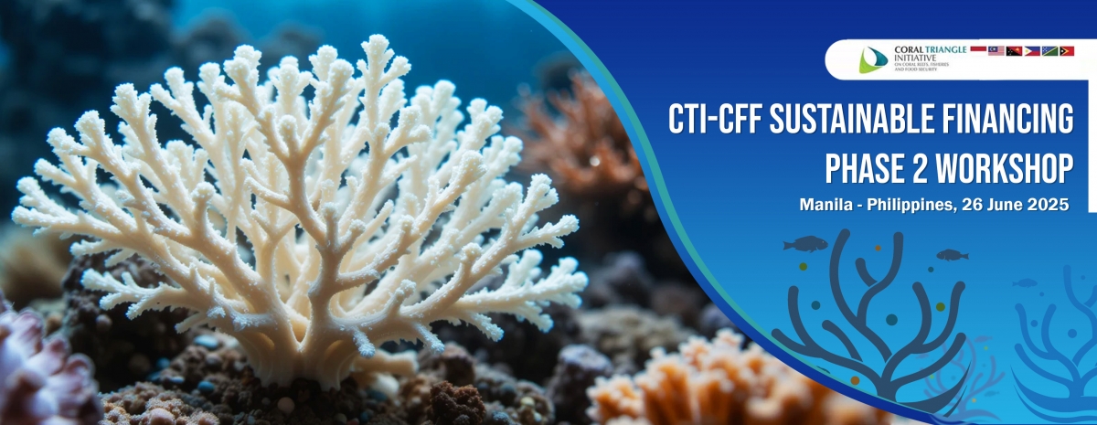CTI-CFF Sustainable Financing Phase 2 Banner
