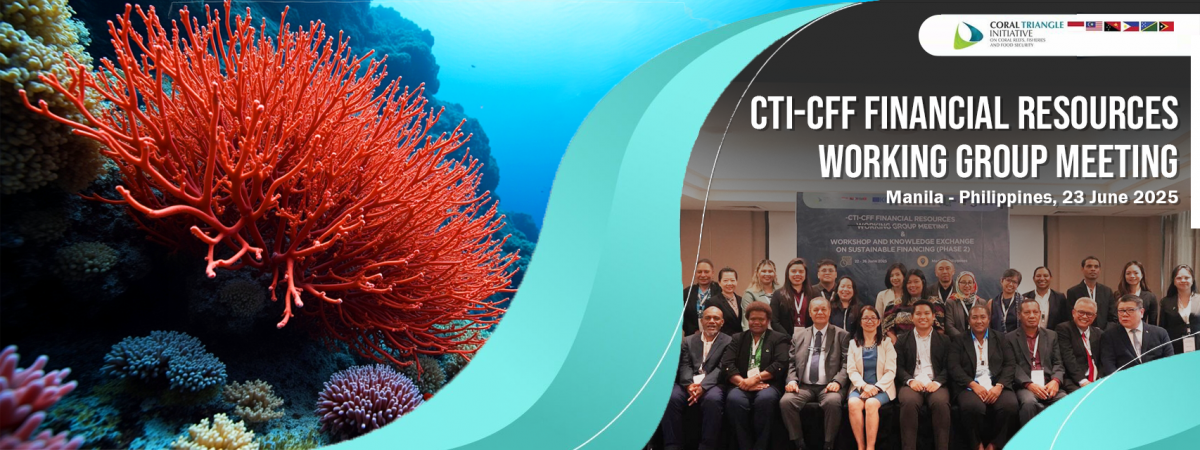 CTI-CFF Sustainable Financing Phase 2 Banner
